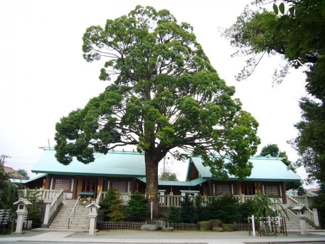 伊勢原大神宮