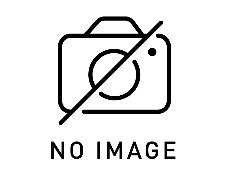 神社画像（No Image）