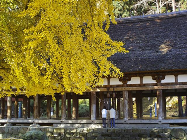 新宮熊野神社