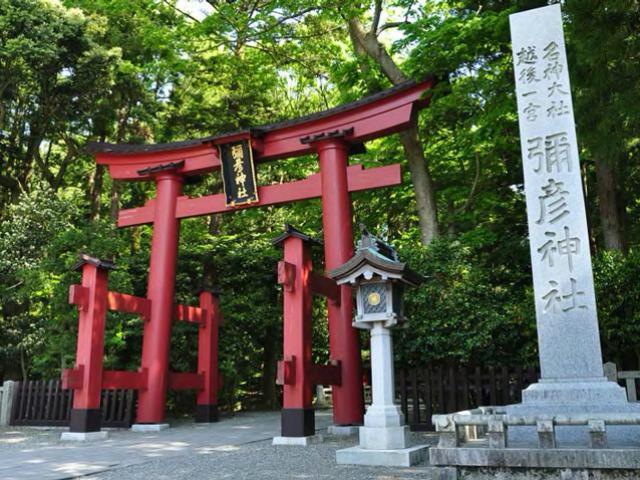 彌彦神社