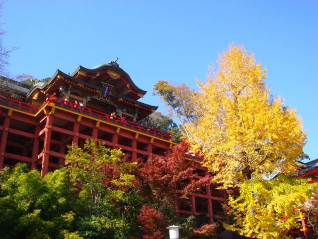 祐徳稲荷神社