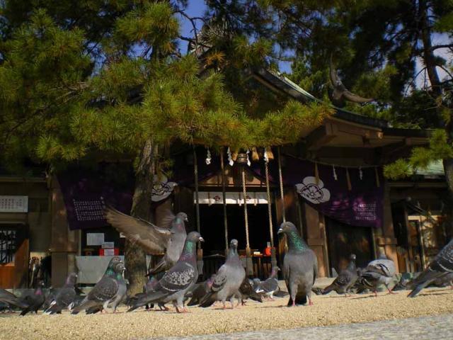 亀山八幡宮